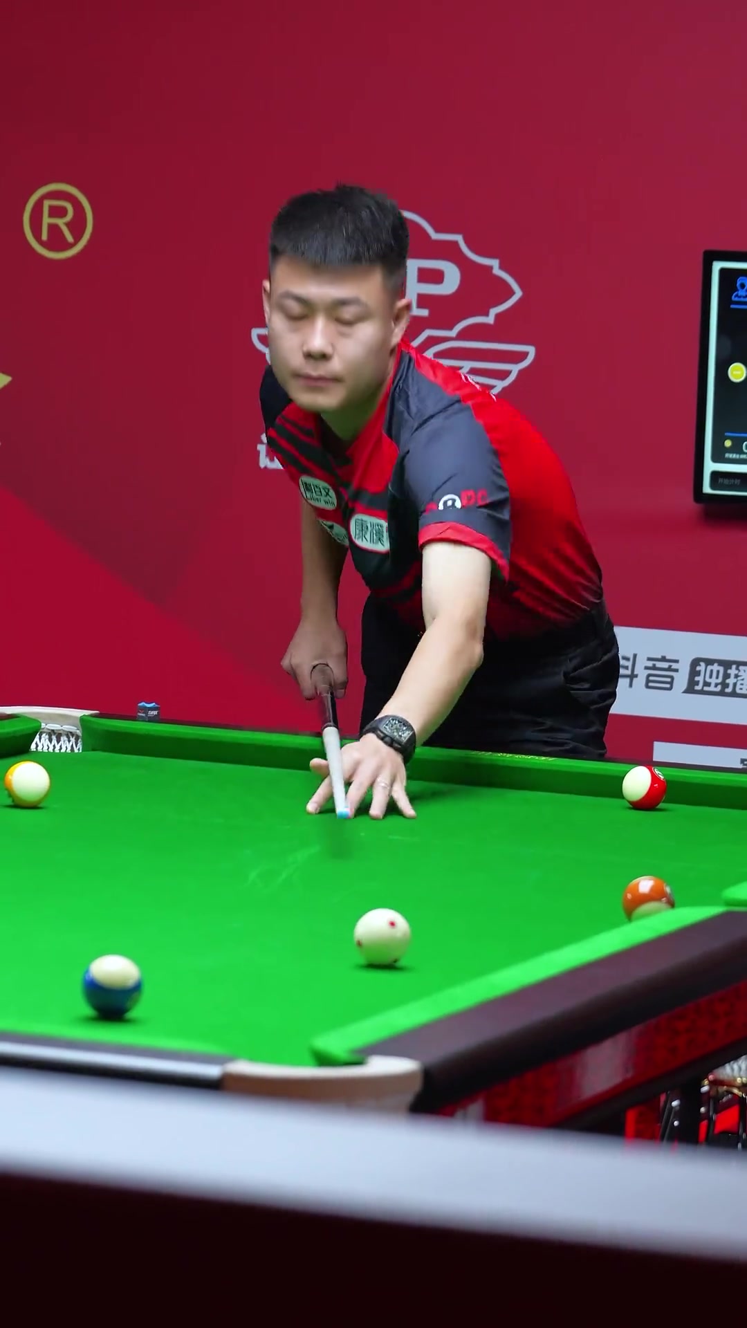 满天飞的背 满天飞的背