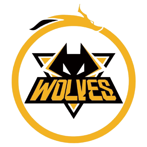 通过校际赛 通过校际赛