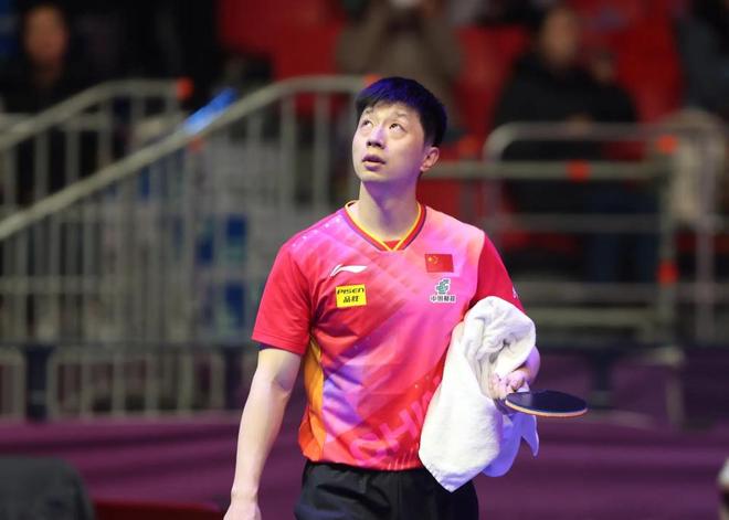 现场观赛体 现场观赛体